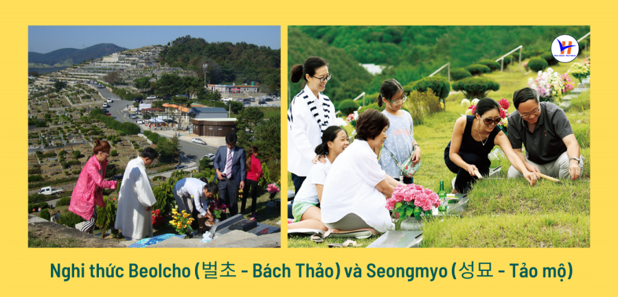 Nghi lễ Beolcho và Seongmyo trong dịp Tết Trung thu Hàn Quốc