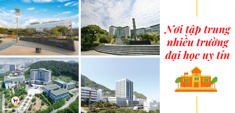 Thành phố cảng Busan - Điểm đến yêu thích của du học sinh quốc tế