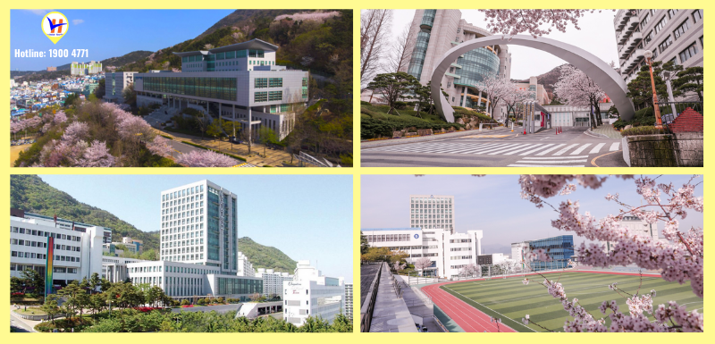 Trường Đại học Dongseo - Top trường đại học có học phí thấp nhất Busan