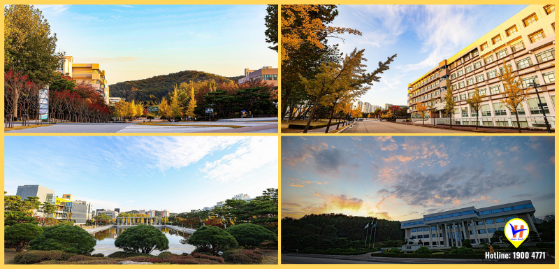 Top 15 trường đại học tốt nhất tại thành phố Gyeonggi