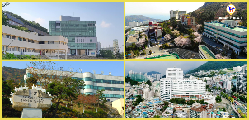 Trường Đại học kosin - Top trường đào tạo ngành Y hàng đầu Hàn Quốc
