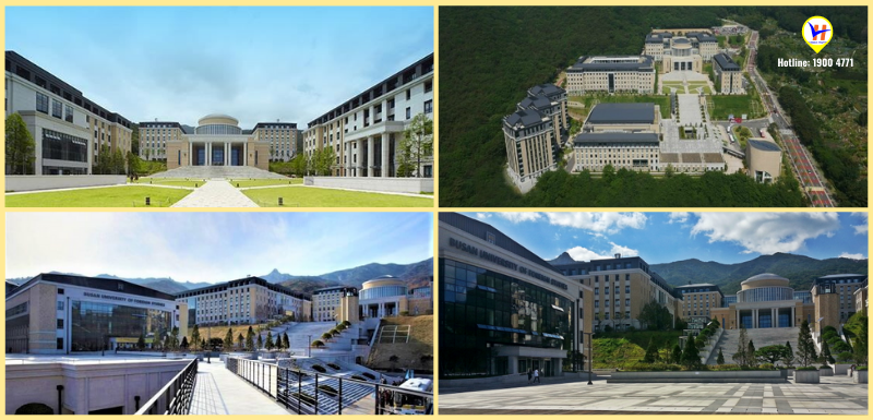 Trường đại học Ngoại ngữ Busan - Top trường đào tạo ngôn ngữ hàng đầu Hàn Quốc