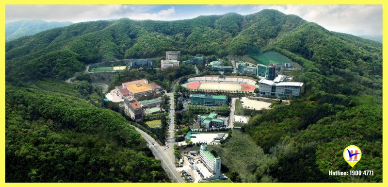 Trường đại học Yongin - Ngôi trường số 1 về đào tạo Thể dục thể thao