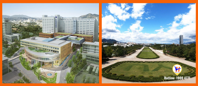 Trường Cao đẳng Yeungnam - Đào tạo số 1 ngành kỹ thuật tại Hàn Quốc