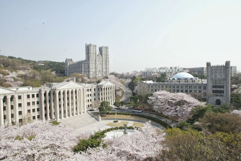 trường Kyunghee đào tạo ngành du lịch hàn quốc