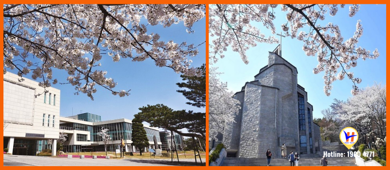 Trường Đại học Hanshin - Top trường đại học cổ kính nhất Hàn Quốc