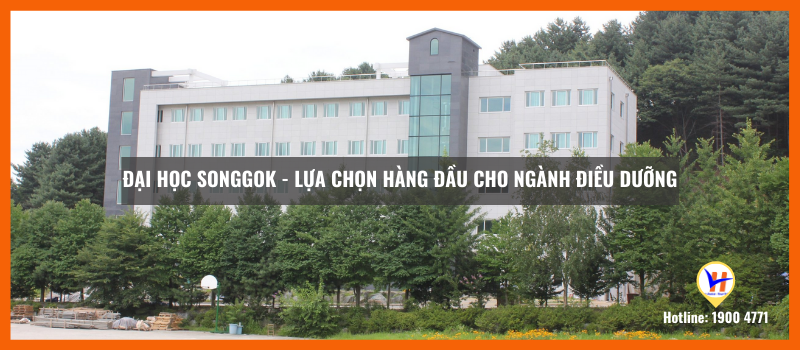 Trường Đại học Songgok: Lựa chọn hàng đầu cho ngành điều dưỡng