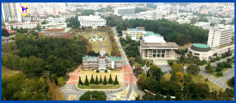 Top 7 trường đại học đẹp nhất Hàn Quốc