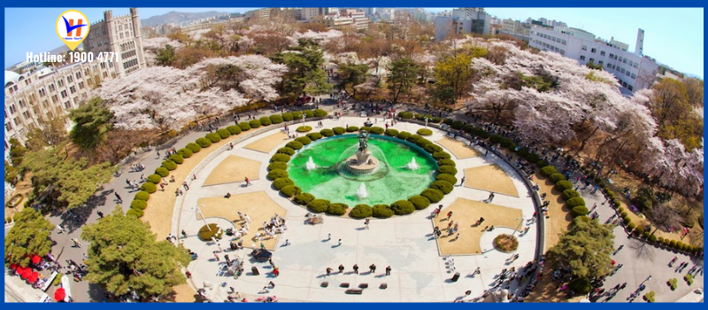 Top 7 trường đại học đẹp nhất Hàn Quốc