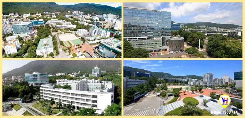 Pusan National University - Du học HVC