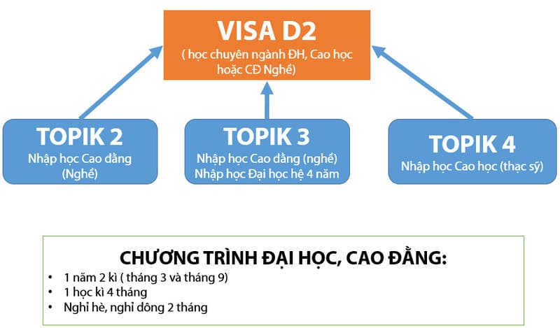 quy trình chuyển đổi visa d4-1