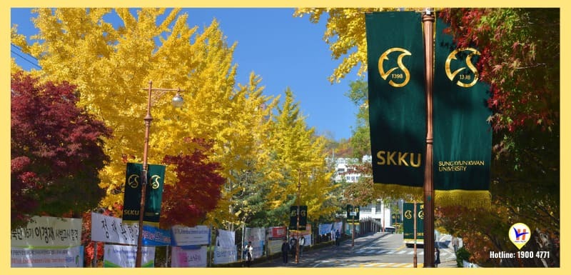 Sungkyunkwan University - Du học HVC