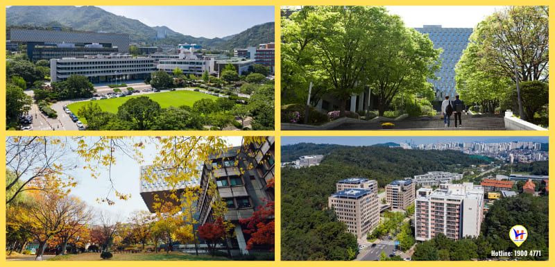 Trường Đại học seoul - Du học HVC