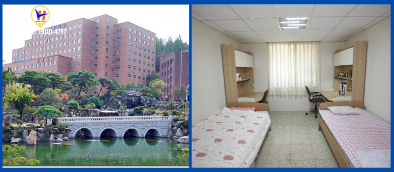 Trường Đại học Kyungnam - top 1 ngành khách sạn tại Gyeongnam