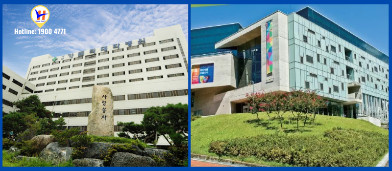 Tuyển sinh Đại học Daegu Catholic