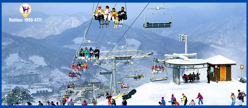 Khu trượt tuyết Yangji Pine