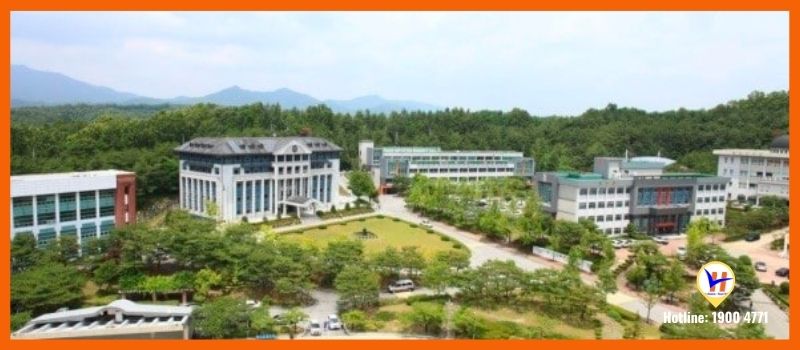 Trường Cao đẳng Khoa học Andong - Ngôi trường đào tạo Nghề tốt nhất tại Hàn Quốc