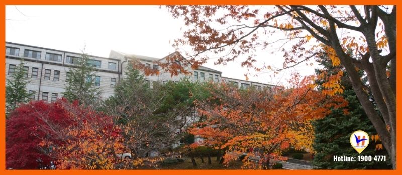 Trường Đại học Hoseo