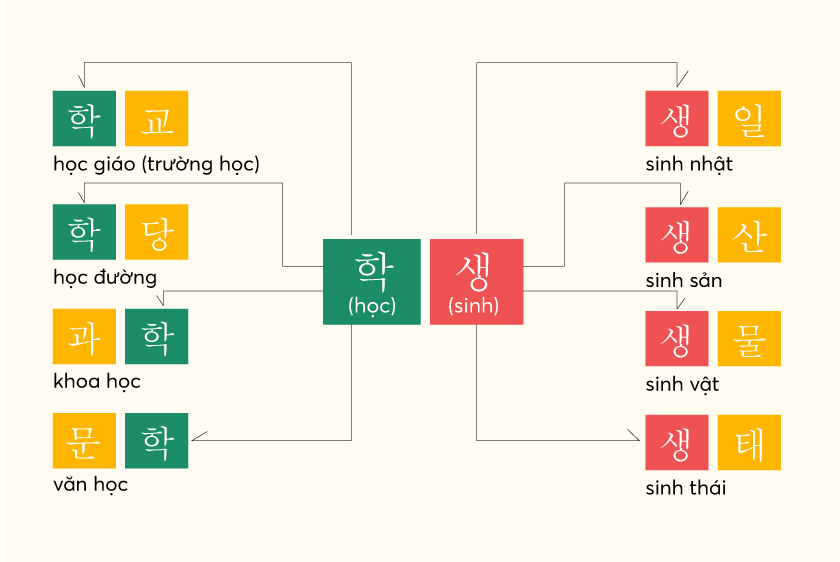Bí quyết học từ vựng tiếng Hàn siêu hiệu quả 