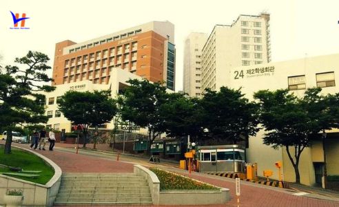 Trường Cao Đẳng Khoa Học Kỹ Thuật Busan - Trường Giáo Dục Nghề Nghiệp Đạt Chất Lượng.