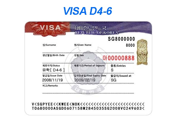 [2022] Thông Tin Các Loại Visa Hàn Quốc Cập Nhật Mới Nhất