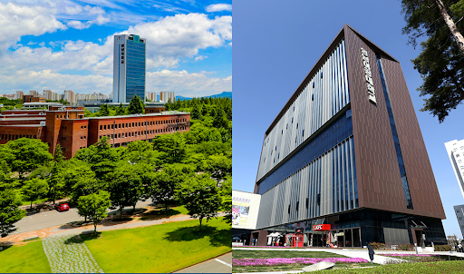 Trường Cao đẳng Yeungnam - Đào tạo số 1 ngành kỹ thuật tại Hàn Quốc