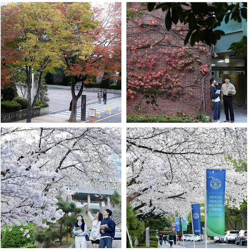 Trường Đại học Inje - Đào tạo ngành dược tốt nhất Hàn Quốc