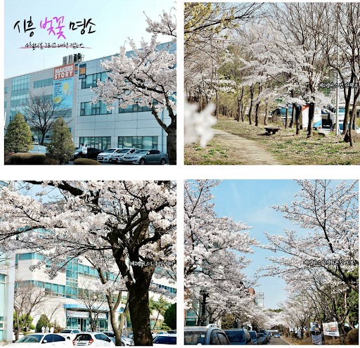 Trường Đại học Khoa học Kỹ thuật Gyeonggi - Đào tạo chuyên môn ngành công nghiệp