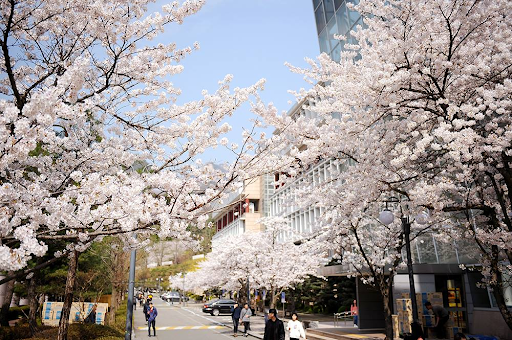 Đại học Kookmin - 국민대학교, ngôi trường đào tạo khối ngành kinh doanh danh tiếng
