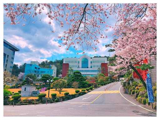 Đại học Masan Hàn Quốc - 마산대학교, Đào tạo ngành y tế nổi bật tại Gyeongnam