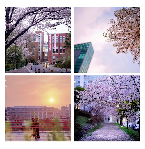Trường Đại học Chosun - Thành phố Gwangju