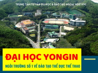 Trường đại học Yongin - Ngôi trường số 1 về đào tạo Thể dục thể thao