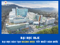 Trường Đại học Inje - Đào tạo ngành dược tốt nhất Hàn Quốc