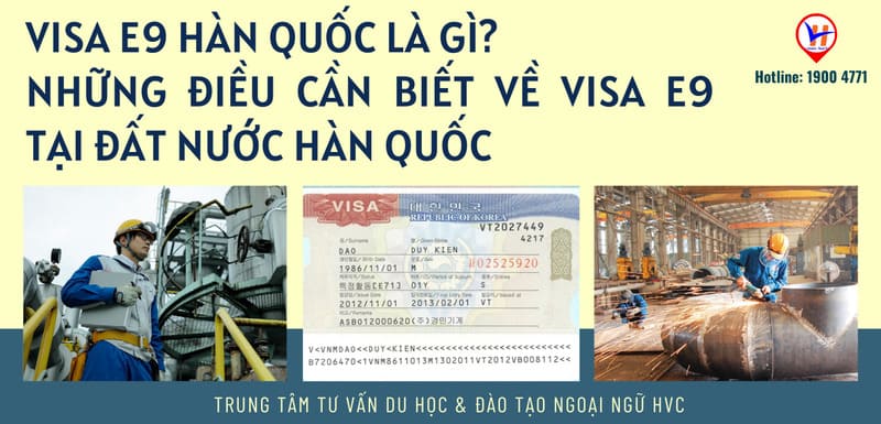 Những công việc nào thường tuyển dụng người nước ngoài qua visa E9 để làm việc ở Hàn Quốc?
