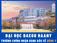 Trường Đại học Daegu Haany - Top 1 trường nghiên cứu y học cổ truyền tại Hàn